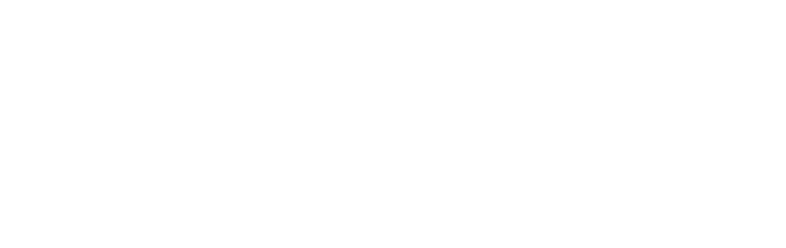 Numero dedicato